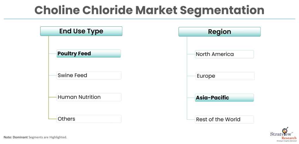 Choline-Chloride-Market-Segmentation